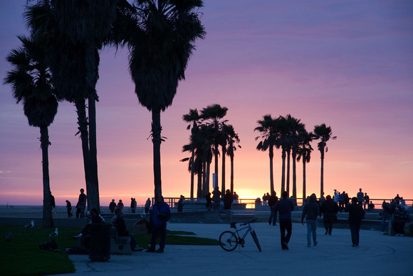 Sunset Venice Beach